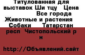 Титулованная для выставок Ши-тцу › Цена ­ 100 000 - Все города Животные и растения » Собаки   . Татарстан респ.,Чистопольский р-н